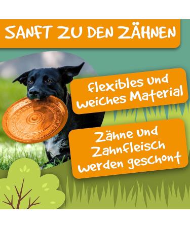 Rootsnoot Frisbee for Dogs | Soft Stable & Floating | Gentle on Teeth | Neon Orange | Harmful Substances Free - Buy Online on GoSupps.com