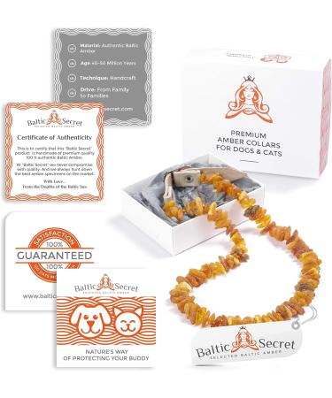 Bank Chain Dog & Cat Amber Neck Band - 100% Leather Strap Raw Baltic Amber Flea & Tick Protection Collar - Buy Online on GoSupps.com
