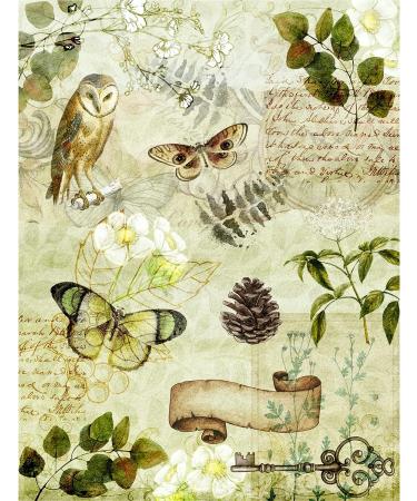Woodland Theme Mulberry Rice Paper 8x10.5 inch - 6 Unique Designs for Decoupage and Mixed Media Crafts - Buy Online on GoSupps.com