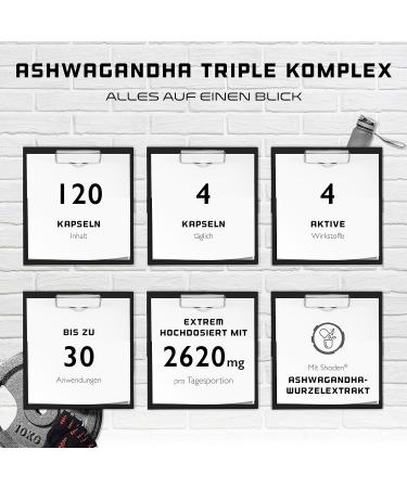 Ashwagandha Triple Extract Complex - Premium 2620mg | Ultra High Dose Shoden Withanolides + Organic Powder & Piperine | Vegan 120 Capsules - International Shipping - Buy Online on GoSupps.com