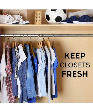 APRAII Charcoal Bag Odor Absorber - Activated Charcoal Bags for Home - Air Purifying & Moisture Absorbing Bamboo Charcoal Purifier - Odor Eliminator & Closet Freshener - Buy Online on GoSupps.com