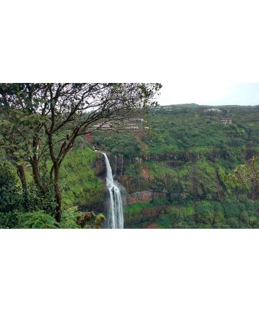  C&T Coffee Globetrotter Real Rarities India Planting AA 500g (Very Fine Earth) - Coffee Rarities Premium - Become an Explorer - Buy Online on GoSupps.com