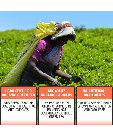 Organic Green Tea with Natural Ginger Peach Flavor - 50 Double Chambered Tea Bags | Low Caffeine, USDA Certified Organic, Non-GMO - Gluten Free - Buy Online on GoSupps.com