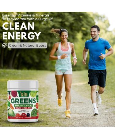 INA TREE HEALTH REVIVE Greens Powder Immune Support Superfood Blend with 20 Organic Greens & Superfruits Boost Energy Level Digestive Enzymes & Prebiotic Blend Natural Mixed Berry Flavor (9.5 Oz) - Buy Online on GoSupps.com
