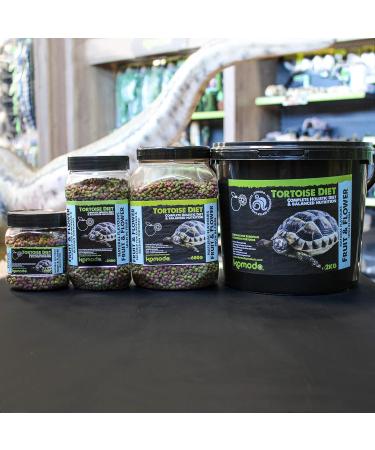 Komodo Complete Holistic Tortoise Diet Fruit and Flower 340 g (Pack of 2) - Buy Online on GoSupps.com