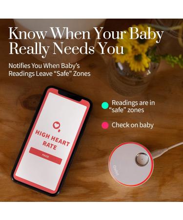 Owlet Monitor Duo Plus: Cam and Smart Sock 3 - Baby Monitor with HD Video Camera, Night Vision, and Audio - Mint Green Smart Sock 3 + Cam - Track Heart Rate, Oxygen, and Sleep Trends (0-5 years) - Buy Online on GoSupps.com