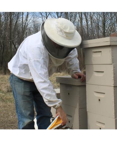 Buy Beessential Relaxing Bar Soap - Lavender & Honey 5 oz | International Shipping Available - Buy Online on GoSupps.com