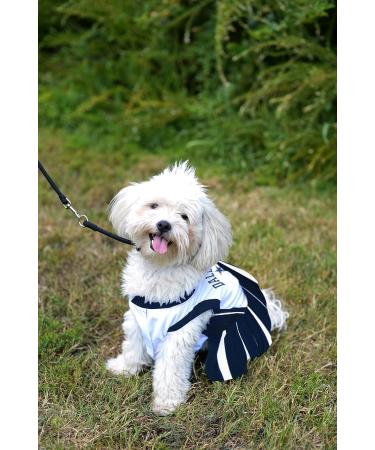 Dallas Cowboys NFL Cheerleader Dog Dress - Size Small - Buy Online on GoSupps.com
