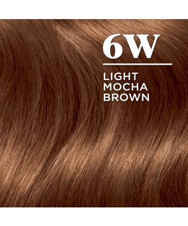 Clairol Nice'n Easy 6W Light Mocha Brown Hair Dye Pack of 3 - 6.26 Fl Oz - Buy Online on GoSupps.com