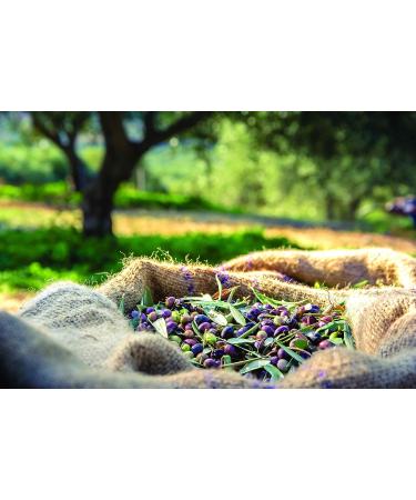  Dalan DALAN D'Olive Face Hand and Body Cream 250 ml Olive Oil - Buy Online on GoSupps.com