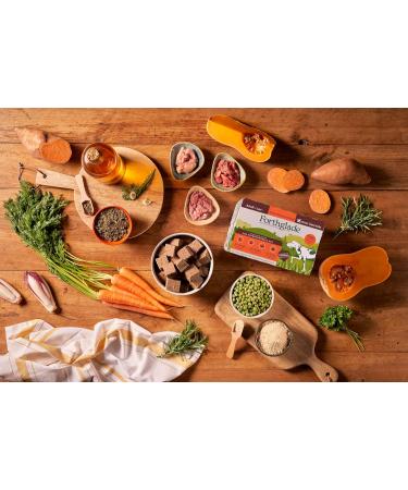 Forthglade Wet Dog Food (Mixed Pack 6 x 395g) - Grain Free Food with Beef Turkey or Chicken and Vegetables for Adult Dogs 1 Year and Older - Hypoallergenic Food - Buy Online on GoSupps.com