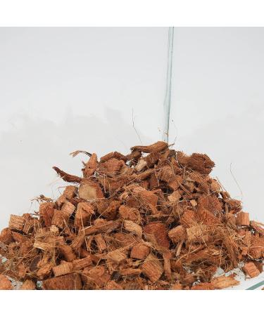 JBL TerraCoco 71015 Substrate for Terrariums | Coconut Chips 5L | Best Soil for Plants - Buy Online on GoSupps.com