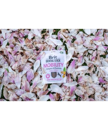 Brit Adult Food 251g - Buy Online on GoSupps.com