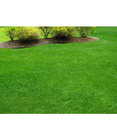 New Formula - 2 Gals. Non-Toxic Septic Drain Field Treatment | Bio-Septic Boost for Hard Pan Soil & Bio-Mat Repair | Maintain Your Septic System - Buy Online on GoSupps.com