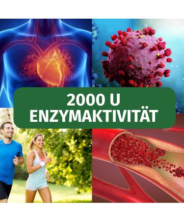 Nattokinase 20 000 FU/G | 100 mg Capsules | 365 Fermented Soybean Extract | Non-GMO | Green Naturals - International Shipping Available - Buy Online on GoSupps.com