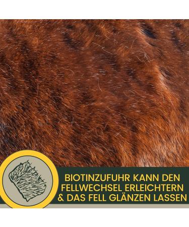 Mineral Horse Food + Biotin + Zinc for Horses 5 kg 1 kg Highly Dosed - Complex Biotin Granules for Skin Hooves and Hair Plus Zinc for Healthy Hooves Promote - Buy Online on GoSupps.com