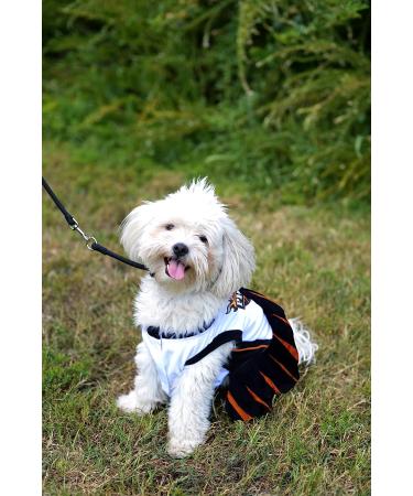 Pets First NBA Phoenix Suns Dog Cheerleader Dress - Small - Buy Online on GoSupps.com