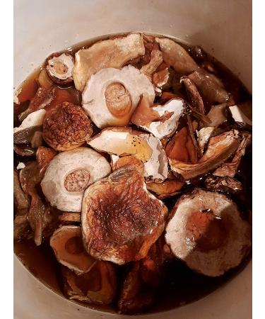 Seweryn Dried Porcini Mushrooms 100g - GMO Free Borowik Szlachetny Whole Caps String - Imported from Poland - Buy Online on GoSupps.com