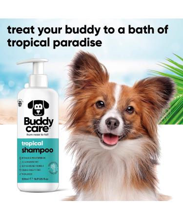 Tropical Dog Shampoo by BuddyCare - Deep Cleaning Aloe Vera & Pro-Vitamin B5 Refreshing Fragrance (500ml X3) - International Shipping - Buy Online on GoSupps.com