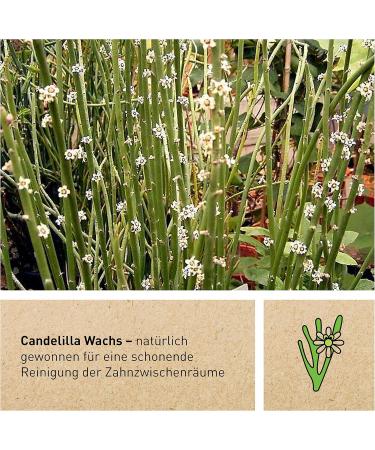 Bamboo Bonds - 60m Corn Starch Dental Supplies with Candelilla Wax & Peppermint Oil for Healthy Teeth & Eco-Friendly Care - Buy Online on GoSupps.com