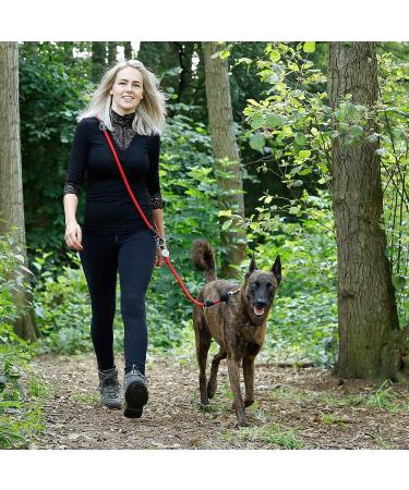 Buy Lionto Adjustable Dog Leash - Multifunctional Weatherproof 200 cm Red | Perfect for Medium Dogs - Shop Internationally! - Buy Online on GoSupps.com