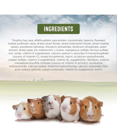 Living World Green Botanicals Adult Guinea Pig Food 2.75 kg (6 lb) - Buy Online on GoSupps.com