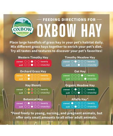 Oxbow Western Timothy Hay â€“ Natural Fiber for Rabbits, Guinea Pigs, Chinchillas & Hamsters - Buy Online on GoSupps.com