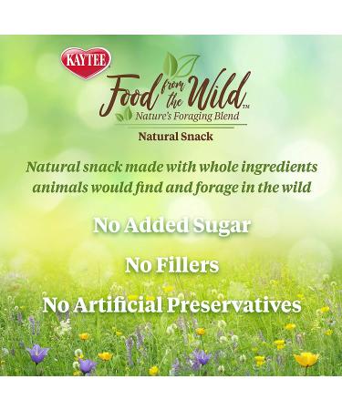 Kaytee Wild Natural Snack - Healthy Treats for Pets - Buy Online on GoSupps.com