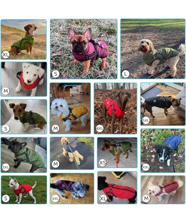 Buy Savlot Dog Jacket - Winter Vest for Pets | Padded Sleeveless Cotton Sweater - Red 5XL | Ideal for Skiing & Outdoor Protection - Buy Online on GoSupps.com