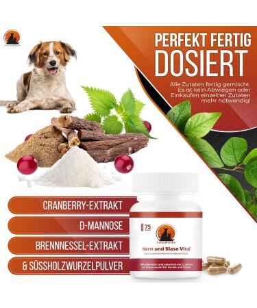 Vital Paws 3x75 Urine & Bladder Capsules for Dogs & Cats | Herbal Home Remedies with Cranberry Mannose & Nettle - Buy Online on GoSupps.com
