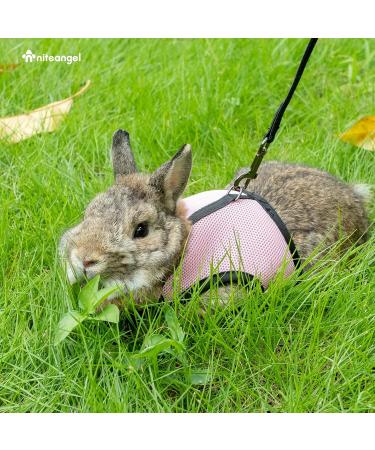 Niteangel Adjustable Soft Harness with Elastic Leash for Medium Rabbits - Pink | Comfortable & Safe Rabbit Apparel - Buy Online on GoSupps.com