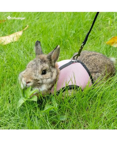 Niteangel Adjustable Soft Harness & Elastic Leash for Rabbits - Large Pink | Comfortable & Safe Pet Gear - Buy Online on GoSupps.com