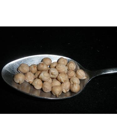 Organic USDA Certified Garbanzo Beans (Chick Peas) 5 lbs - Non-GMO, Great for Hummus, Product of USA | Mulberry Lane Farms - Buy Online on GoSupps.com