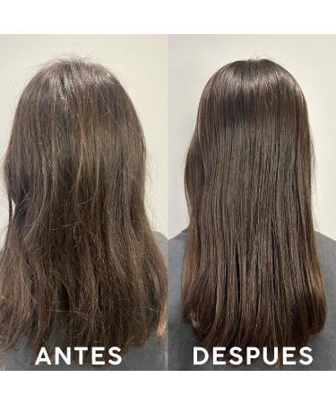  TIPPI TIPPIPLANET.COM TIPPI Natural Shampoo with Chamomile Calendula and Mango Vegan 250 ml - Buy Online on GoSupps.com