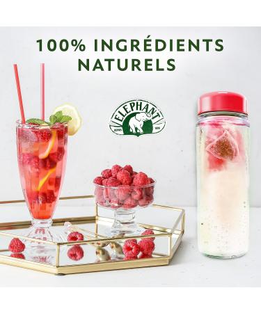 Elephant Infusion Froid Detox Eau Froide Aromatis e Parfums Naturels Cranberry Framboise Hibiscus Lot de 6 x 15 Sachets Individuels 90 Sachets Pyramid Hibiscus & Cramberry & Framboise 15 Sachets (Lot de 6) - Buy Online on GoSupps.com