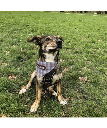 Printplanet Dog Hollow Bed - Personalized Name/Text - Narrow Design in Brown-Blue Check Pattern - Size S - Buy Online on GoSupps.com