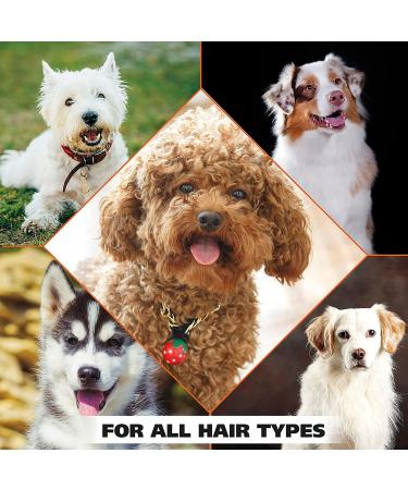 Wahl 4-in-1 Calming Pet Shampoo 64 Oz - Lavender Chamomile, Cleans, Conditions, Detangles, Moisturizes - Buy Online on GoSupps.com