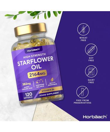 Starflower Oil Capsules 2164mg with GLA & Vitamin B6 | 120 Softgels by Horbaach - Buy Online on GoSupps.com