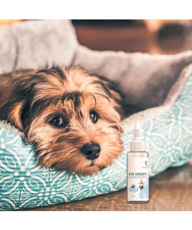 Pet Eye Drops: Antibiotic Ointment for Infection Relief in Dogs & Cats - Buy Online on GoSupps.com