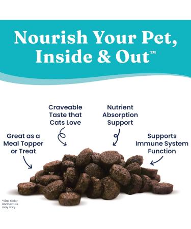 Solid Gold NutrientBoost Meal Topper for Cats - High Protein Crunchy Treats Rich in Vitamins & Minerals | 1 lb Premium Cat Food - Buy Online on GoSupps.com
