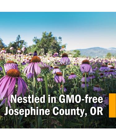 Herb Pharm Alcohol-Free Stinging Nettle Glycerite - 1 oz | Natural Nettle Extract - Buy Online on GoSupps.com