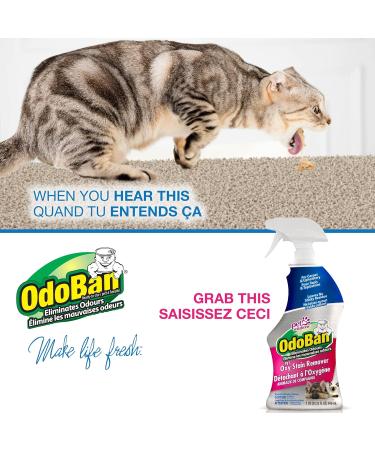 OdoBan Pet Oxy Stain Remover and Odor Eliminator for Carpet & Fabric Fragrance Free 32 oz. (946 mL) Spray  - Buy Online on GoSupps.com