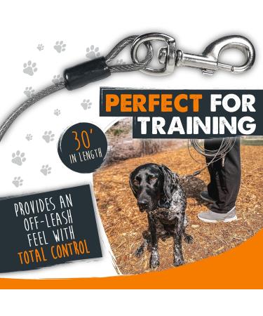 Mighty Paw 9m Dog Tie Out Cable | Chew Proof Braided Steel Tether Lead for X-Large Dogs 25-50kg | Ideal for Yard, Camping, Beach & Garden - Buy Online on GoSupps.com