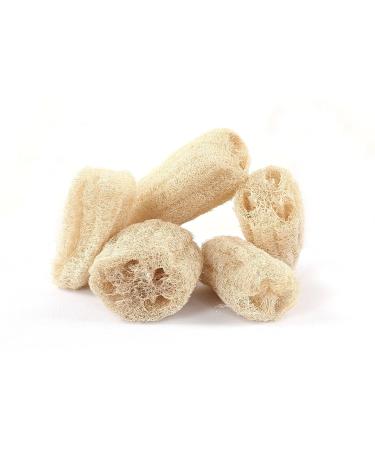 Yess Essentials Soft Natural Loofah Sponge - Pack of 2 Small Standard Sizes | Eco-Friendly Exfoliating Bath Tool for Smooth Skin - Buy Online on GoSupps.com