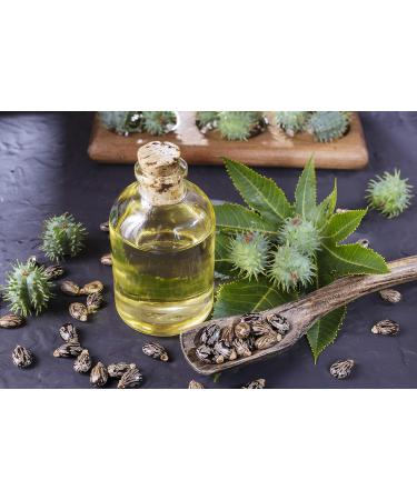 Dr Joe Lab Jamaican Black Castor Seed Oil 128 oz - 100% Pure Natural Cold Pressed JBCO for Hair Skin Body Eyebrows & Eyelashes - Moisturizing & Nourishing - Buy Online on GoSupps.com