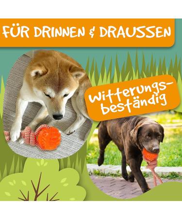Rootsnoot Throwing Ball with Rope - Extra Gentle Tug Toy for Dogs | Neon Orange - Buy Online on GoSupps.com