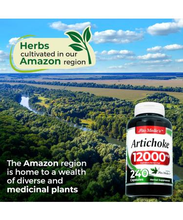 FITO MEDIC'S Lab | Artichoke Extract | Artichoke Extract Capsules |240 Capsules |12000 mg | alcachofa. 240 Count (Pack of 1) - Buy Online on GoSupps.com