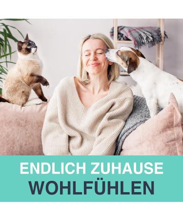 Tierheld Animal Hair Remover - Reusable Lint Roller for Clothing Sofa & Car | Cat & Dog Hair Brush in Ocean Blue - Buy Online on GoSupps.com