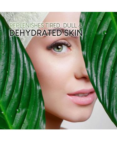 Nourishing Hemp Skincare Set - Facial Serum, Day Cream, Eye Serum, and Sheet Mask with Hemp Seed Oil, Aloe, Hyaluronic Acid, and Collagen - Buy Online on GoSupps.com