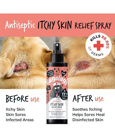 BUGALUGS itchy dog skin relief Antiseptic spray for dogs puppy cats & pets - Dog grooming Antibacterial Antifungal for dog itchy skin relief- use with our dog shampoo sensitive skin 200ml Spray - Buy Online on GoSupps.com